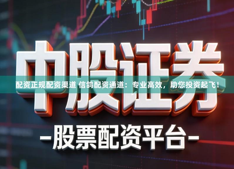 配资正规配资渠道 信鸽配资通道：专业高效，助您投资起飞！