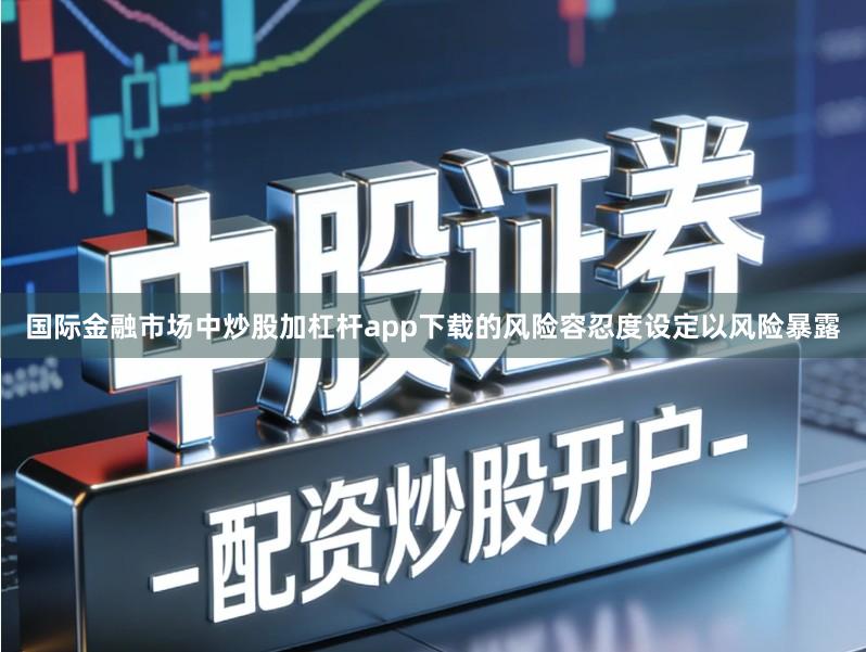 国际金融市场中炒股加杠杆app下载的风险容忍度设定以风险暴露